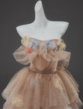 Champagne A-Line Off Shoulder Tulle Sequin Long Ball Dress Cute Layered Dress HZ1108