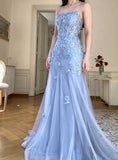 Elegant Blue Tulle A-Line Spaghetti Strap Appliqu¨¦ Long Prom Dress Evening Dress HZ1108