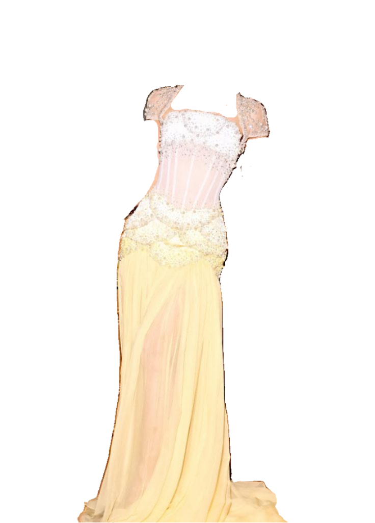 Glam Purple Sheath Tulle Beaded Sleeves Long Prom Dresses HZ1108