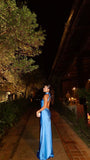 Classy Sheath High Neck Satin Blue Long Prom Dresses Backless Formal Summer Wedding Guest Dresses Wedding Guest Outfit HZ1214